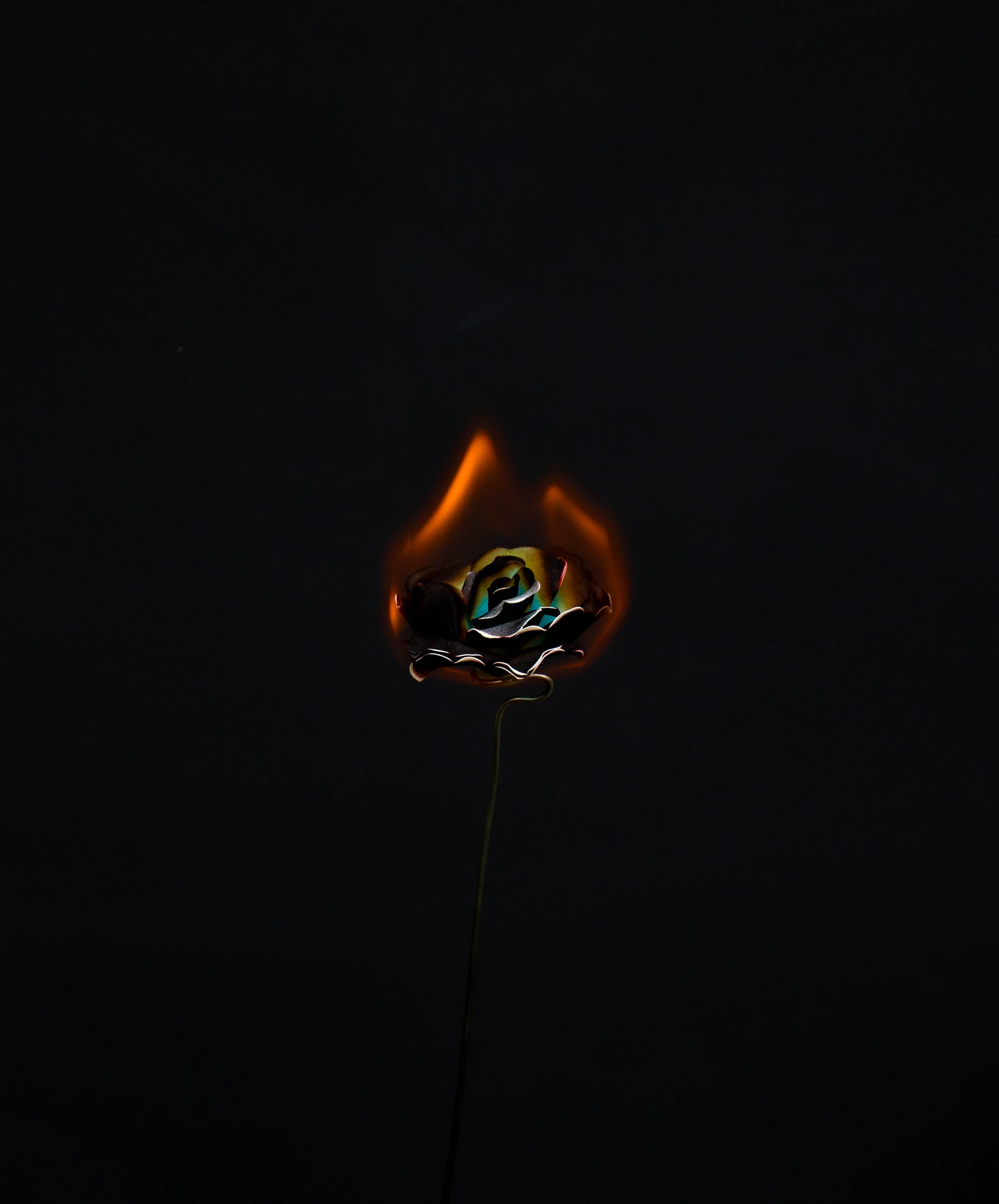 Smoke rises above a dark rose encircled by an orange flame