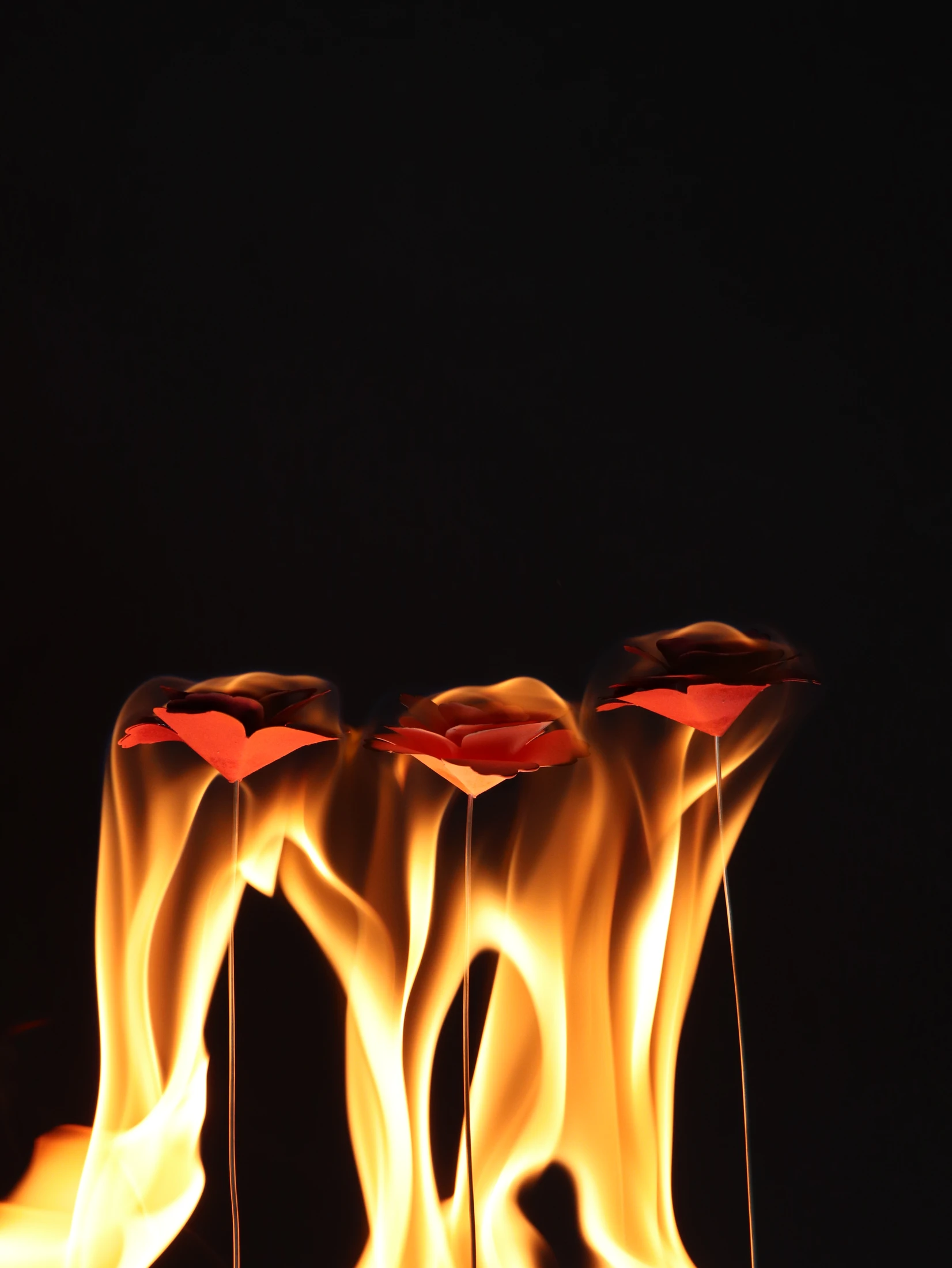 Three red paper flowers stand above tall orange flames against black