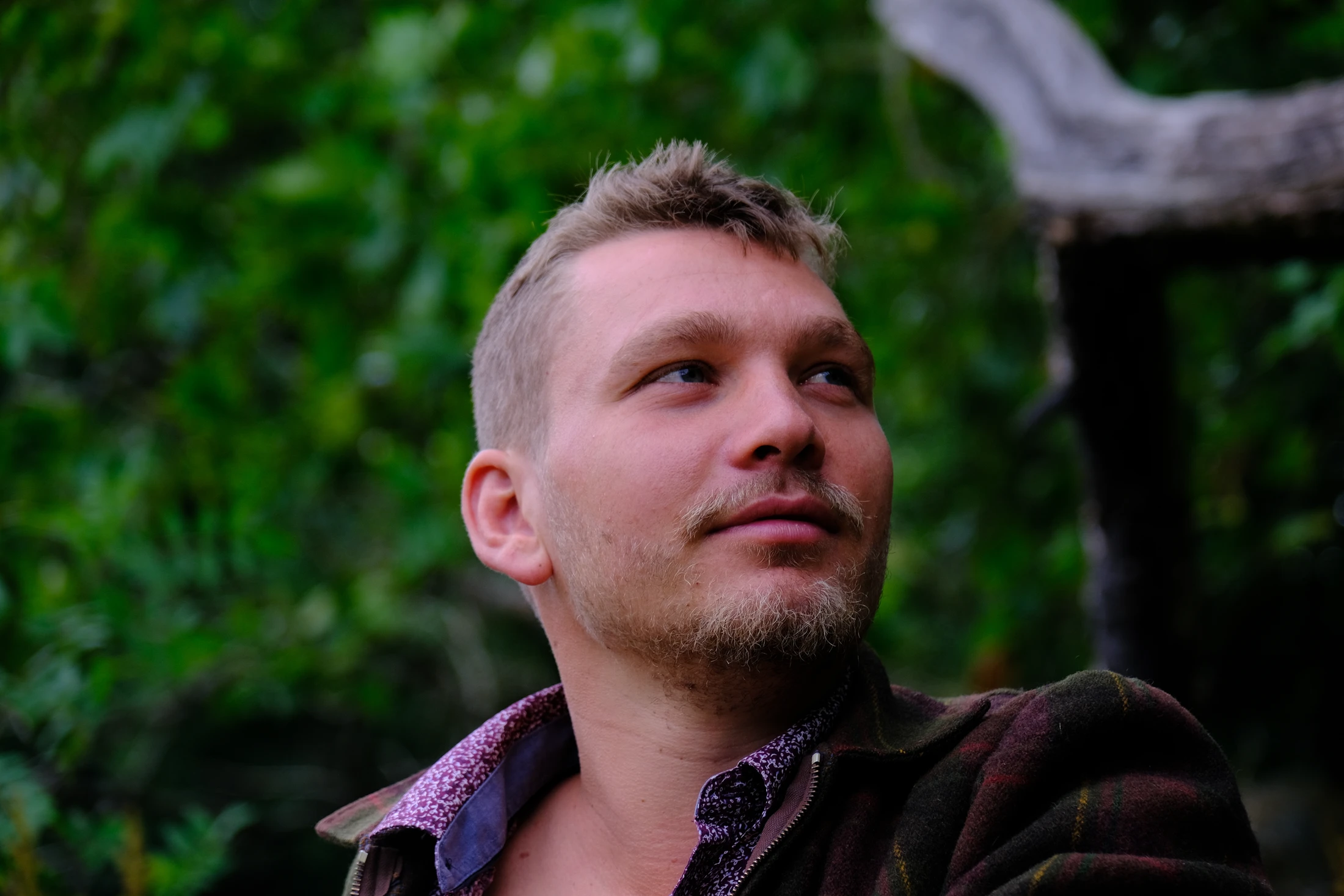 A close outdoor portrait of a man looking upwards beneath green foliage