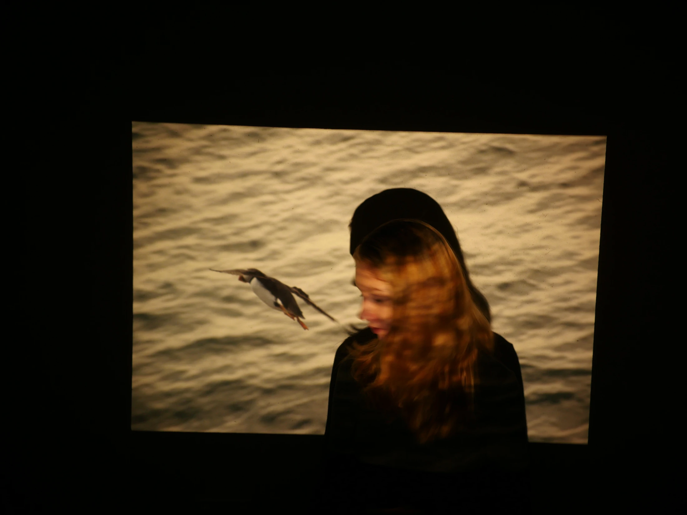 A moving portrait crosses a projection of birds flying over water