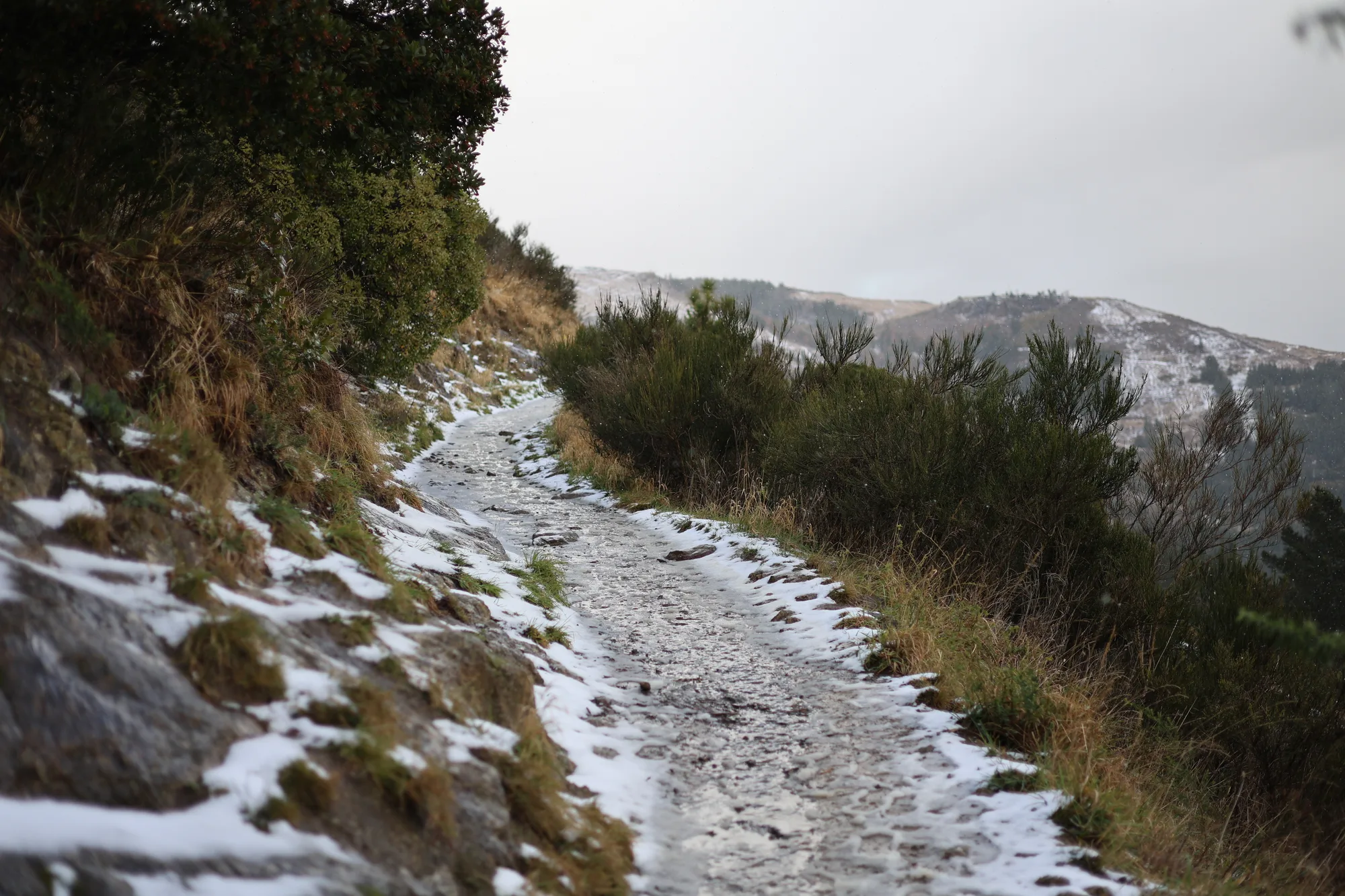 A snowy mountain trail winds past shrubs towards distant hills